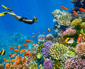 5* Dreams Beach Hotel Konaklamalı Tüm Extra Turlar Dahil Sharm El Sheikh Tatil Paketi 4 Gece 5 Gün