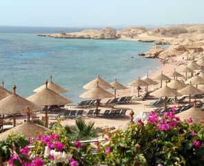 3* Sharm Reef Hotel Konaklamalı Tüm Extra Turlar Dahil 4 Gece 5 Gün 