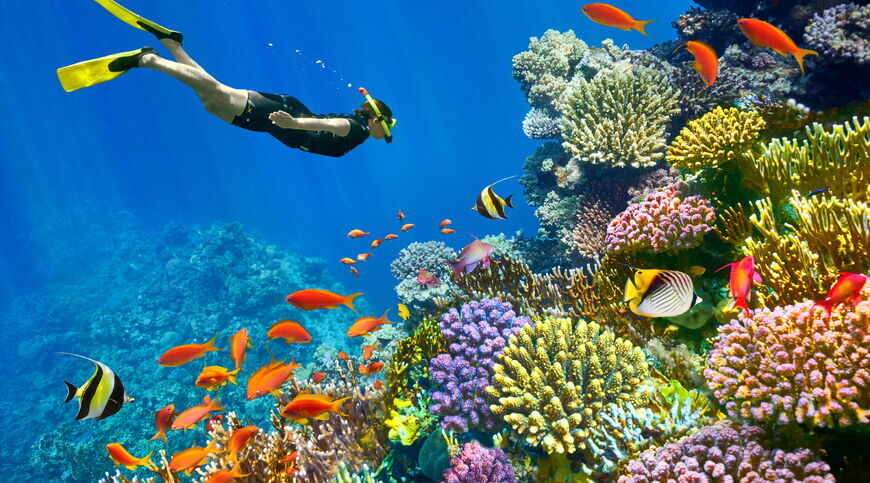 5* Dreams Beach Hotel Konaklamalı Tüm Extra Turlar Dahil Sharm El Sheikh Tatil Paketi 5 Gece 6 Gün