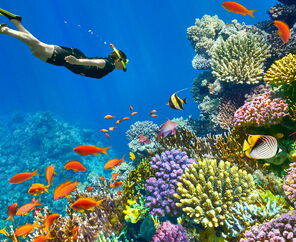 5* Dreams Beach Hotel Konaklamalı Tüm Extra Turlar Dahil Sharm El Sheikh Tatil Paketi 5 Gece 6 Gün