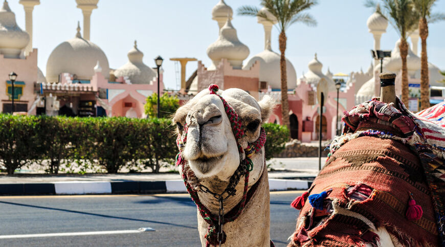5* Dreams Beach Hotel Konaklamalı Tüm Extra Turlar Dahil Sharm El Sheikh Tatil Paketi 5 Gece 6 Gün