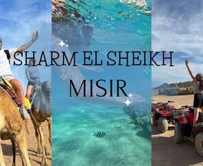 5* Dreams Beach Hotel Konaklamalı Tüm Extra Turlar Dahil Sharm El Sheikh Tatil Paketi 5 Gece 6 Gün